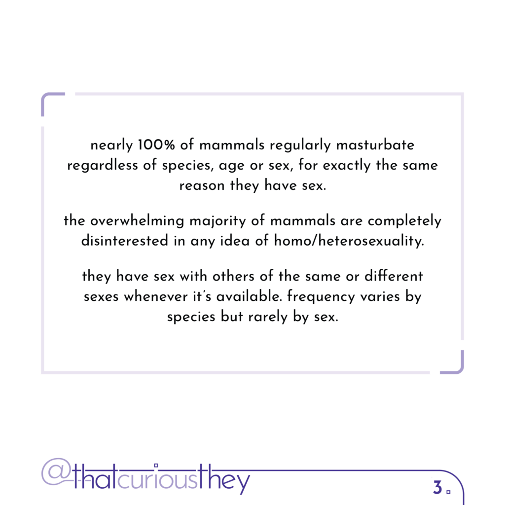 nearly 100% of mammals regularly masturbate regardless of species, age or sex, for exactly the same reason they have sex. the overwhelming majority of mammals are completely disinterested in any idea of homo/heterosexuality. they have sex with others of the same or different sexes whenever it\'s available. frequency varies by species but rarely by sex.