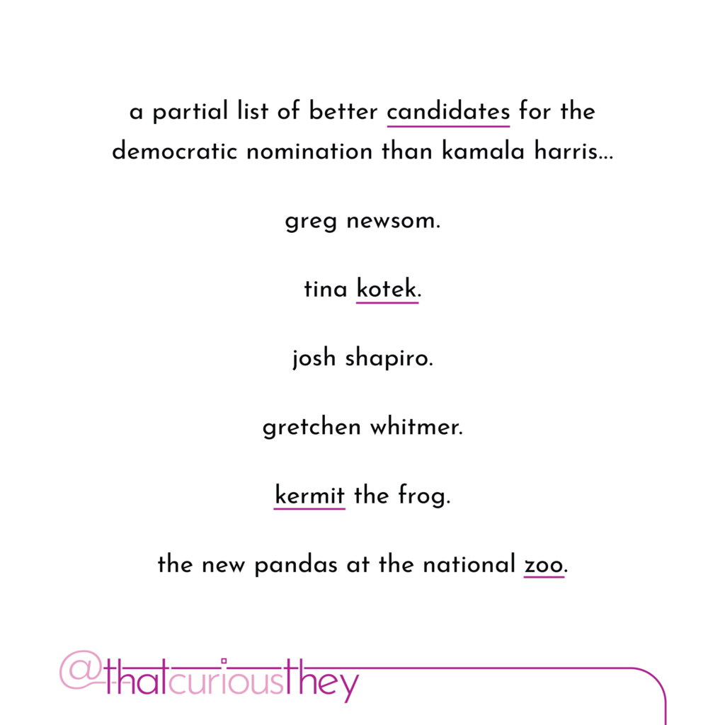 a partial list of better candidates for the democratic nomination than kamala harris... greg newsom. tina kotek. josh shapiro. gretchen whitmer. kermit the frog. the new pandas at the national zoo.